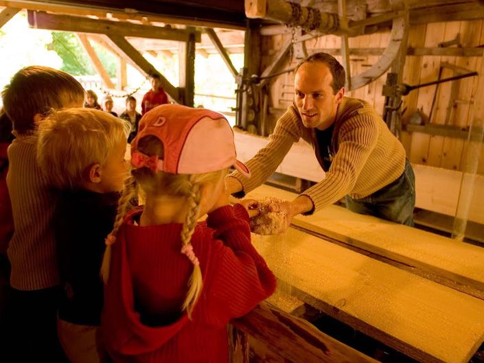Visit of the sawmill of Etouvires (school groups)
