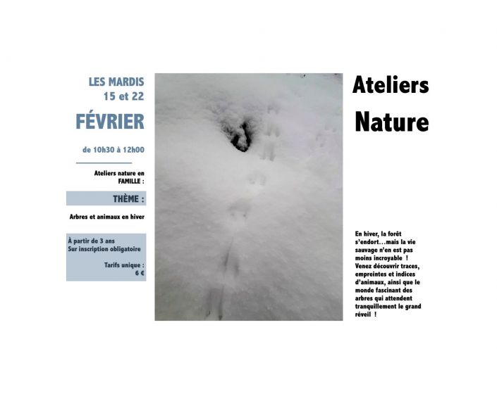 EXEMPLE - Atelier "Arbres et animaux en Hiver"