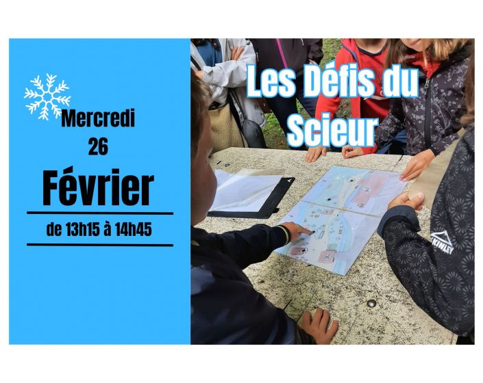 Animation "Les Dfis du Scieur"